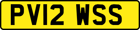 PV12WSS