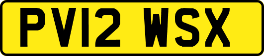 PV12WSX