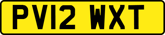 PV12WXT