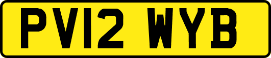PV12WYB