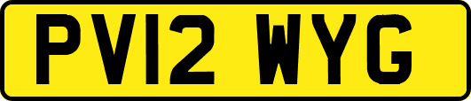 PV12WYG