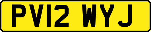 PV12WYJ
