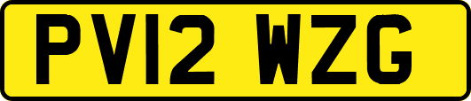 PV12WZG
