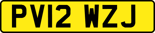 PV12WZJ