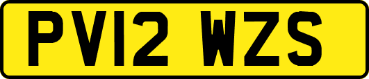 PV12WZS