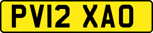 PV12XAO