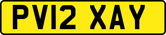 PV12XAY