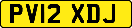 PV12XDJ