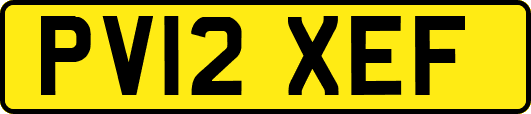 PV12XEF