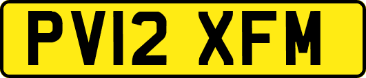 PV12XFM