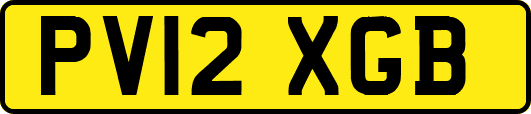 PV12XGB