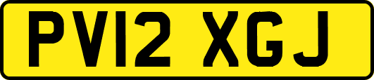 PV12XGJ