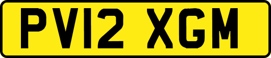 PV12XGM