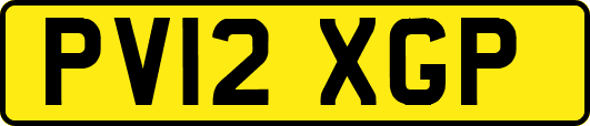 PV12XGP