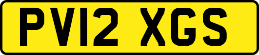 PV12XGS