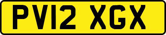 PV12XGX