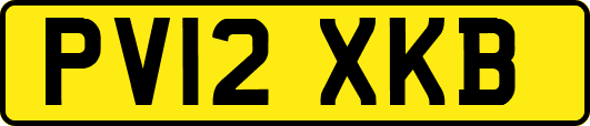 PV12XKB