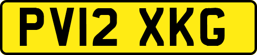PV12XKG