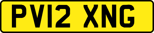PV12XNG
