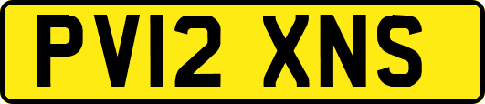 PV12XNS