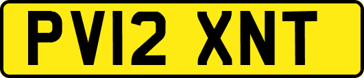 PV12XNT