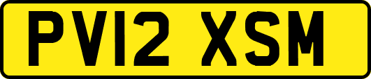PV12XSM