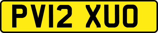 PV12XUO