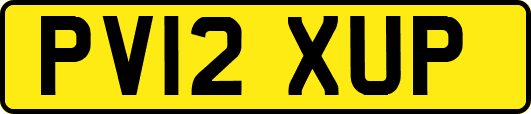 PV12XUP