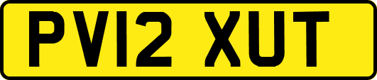 PV12XUT