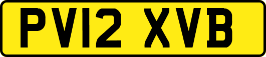 PV12XVB