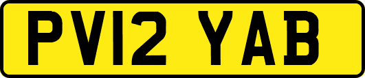 PV12YAB