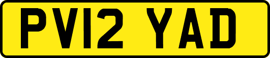 PV12YAD