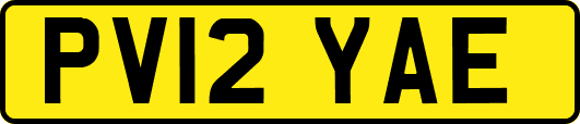 PV12YAE