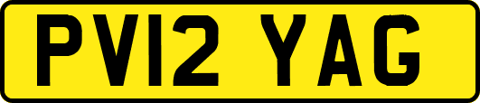 PV12YAG