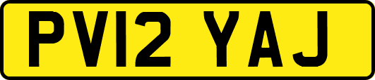 PV12YAJ
