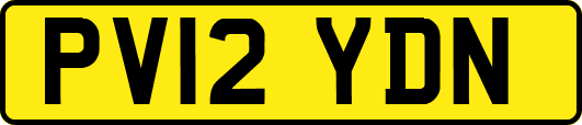 PV12YDN