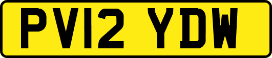 PV12YDW