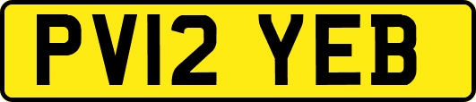 PV12YEB