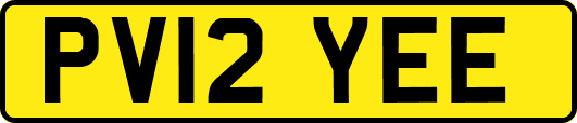 PV12YEE
