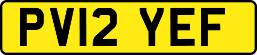 PV12YEF