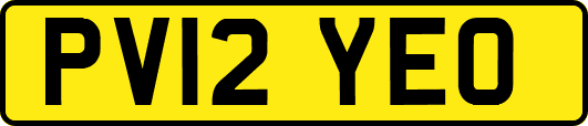 PV12YEO