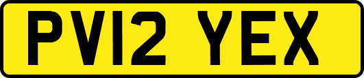 PV12YEX