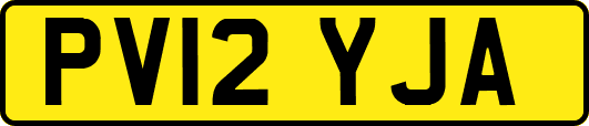 PV12YJA