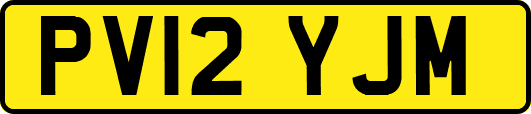 PV12YJM