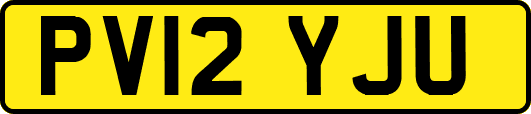 PV12YJU