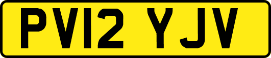 PV12YJV