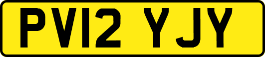 PV12YJY