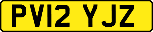 PV12YJZ