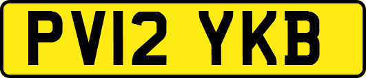 PV12YKB
