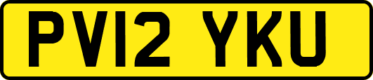 PV12YKU